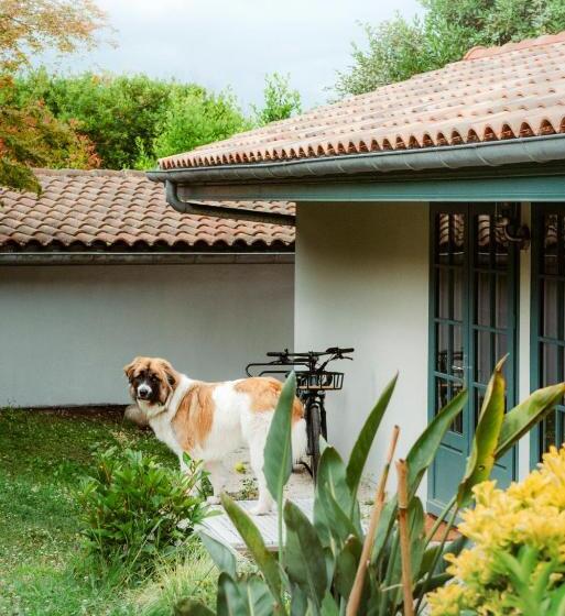 Bed and Breakfast Casaviel