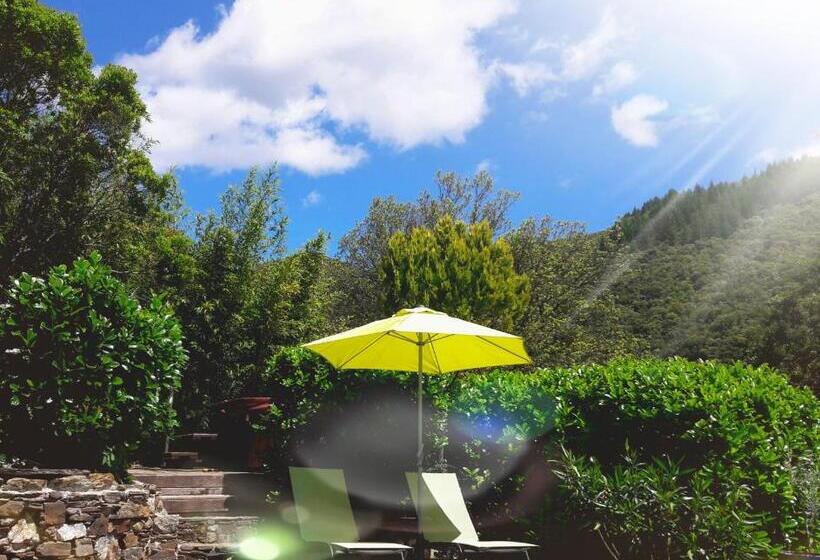 Bed and Breakfast La Magnanerie De Camias