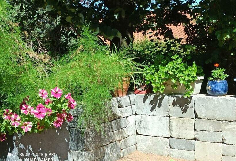 Bed and Breakfast érable Pourpre