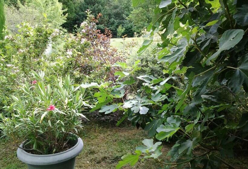 Bed and Breakfast érable Pourpre