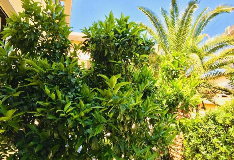 Flowers Sweet Rooms B&b