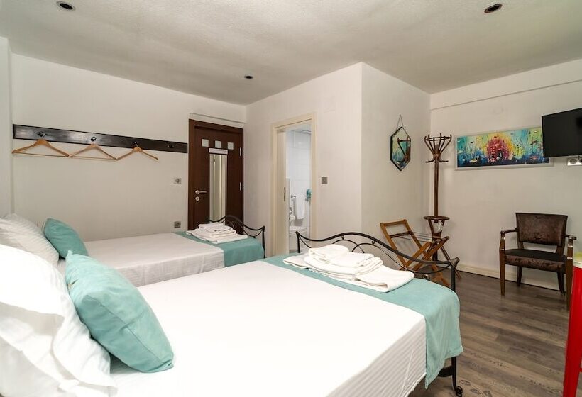 هتل Bertiz Mignon