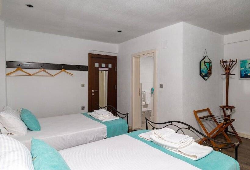 هتل Bertiz Mignon