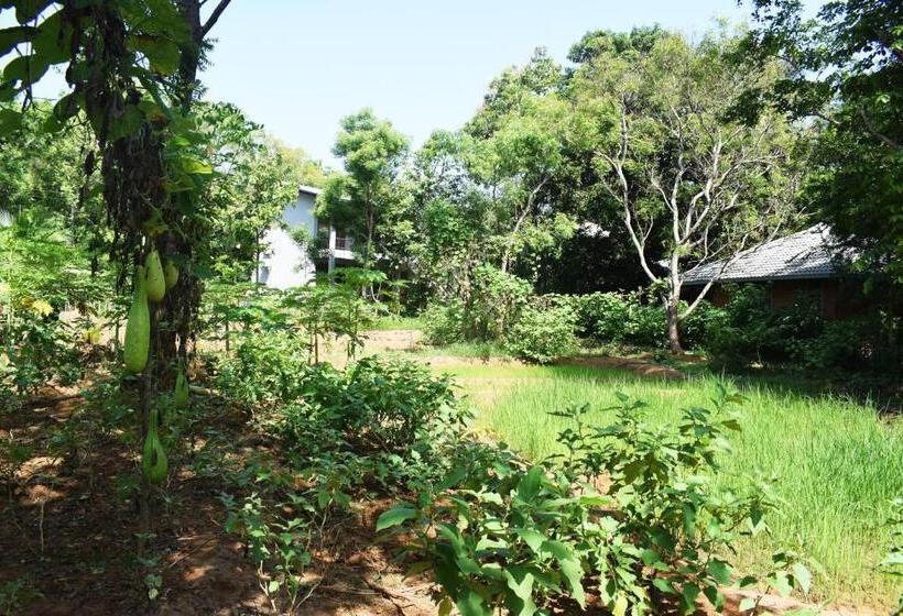 Hotel Nildiya Riverside Safari