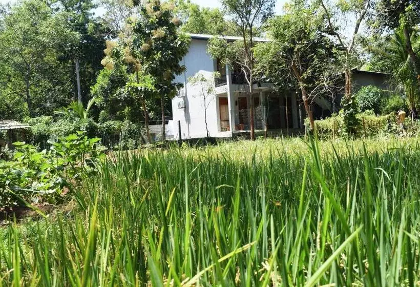 Hotelli Nildiya Riverside Safari