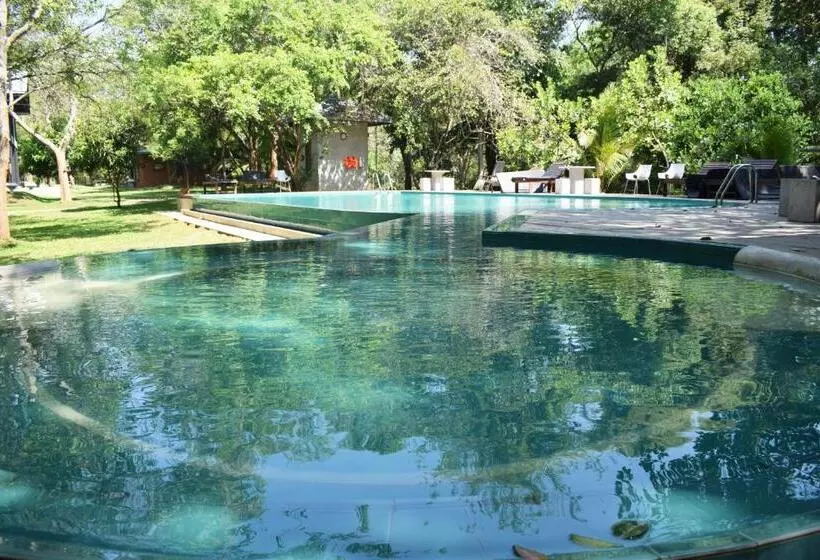 Hotelli Nildiya Riverside Safari