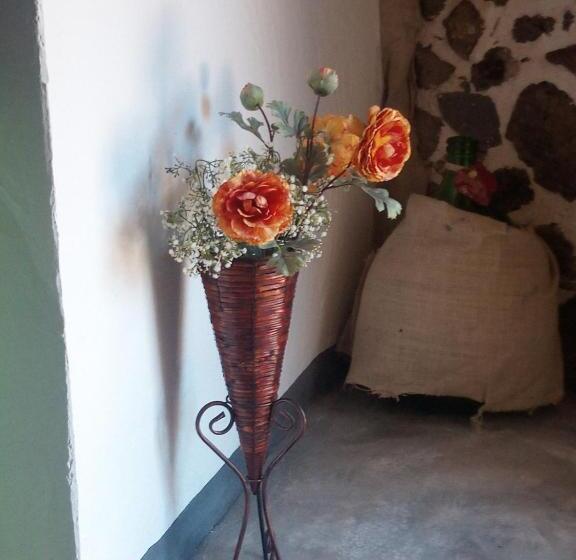 בית מלון כפרי Ovile Juanne Loddo