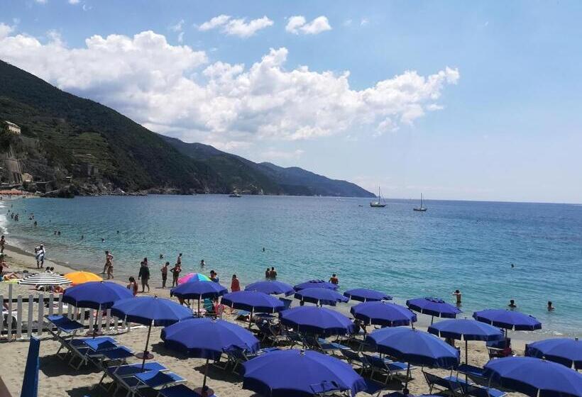 پانسیون Albamare