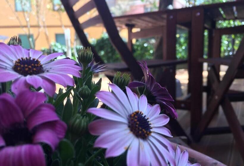 پانسیون Albamare