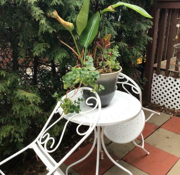 Pension Mariya Studio