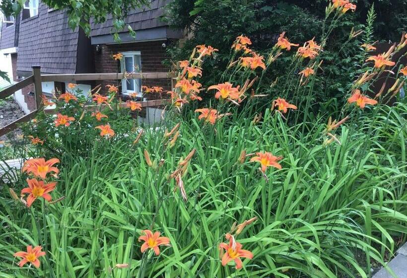 Pension Mariya Studio