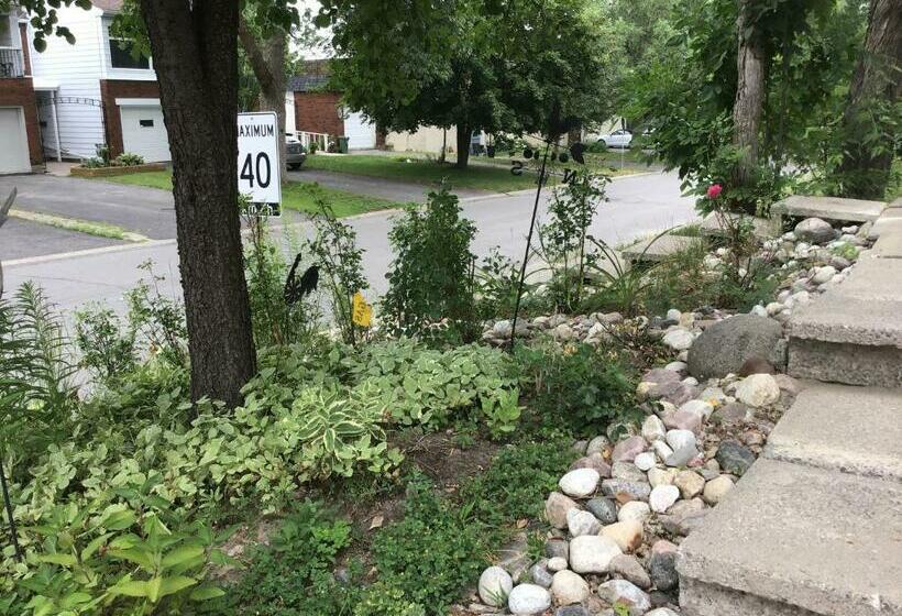 Pension Mariya Studio