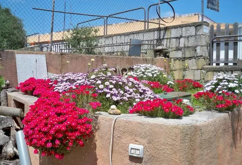 ベッドアンドブレックファースト Sa Muredda