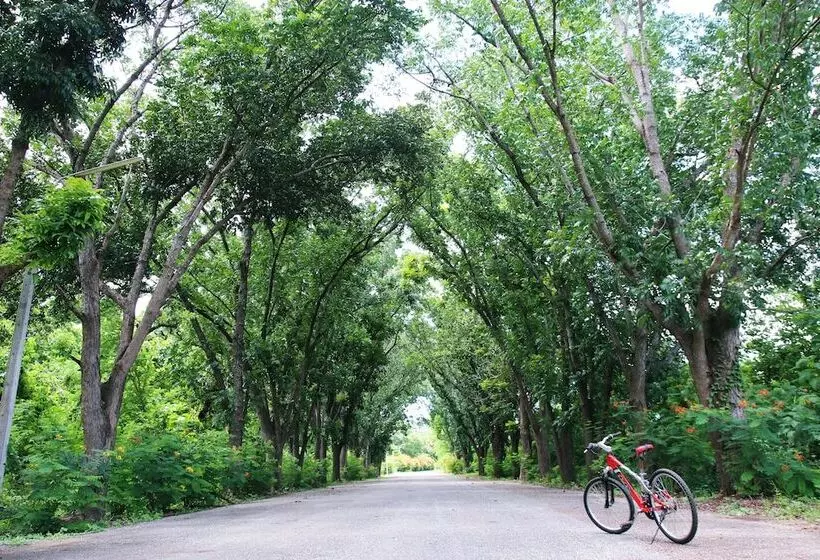 فندق Aekpailin River Kwai Resort