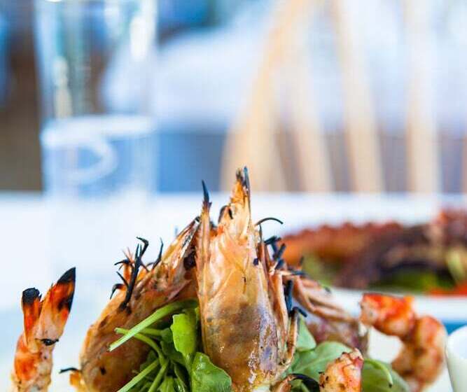 בית מלון כפרי Kymata