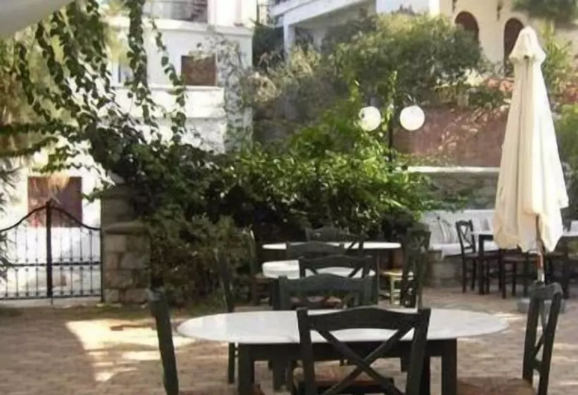 בית מלון כפרי Oasis