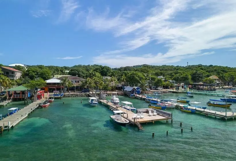 هتل Splash Inn Dive Resort & Villas