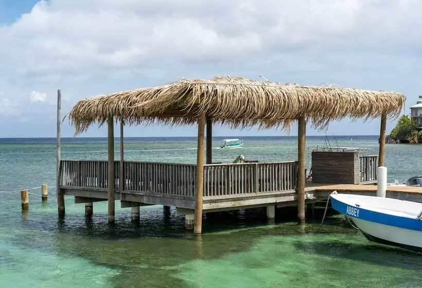 هتل Splash Inn Dive Resort & Villas