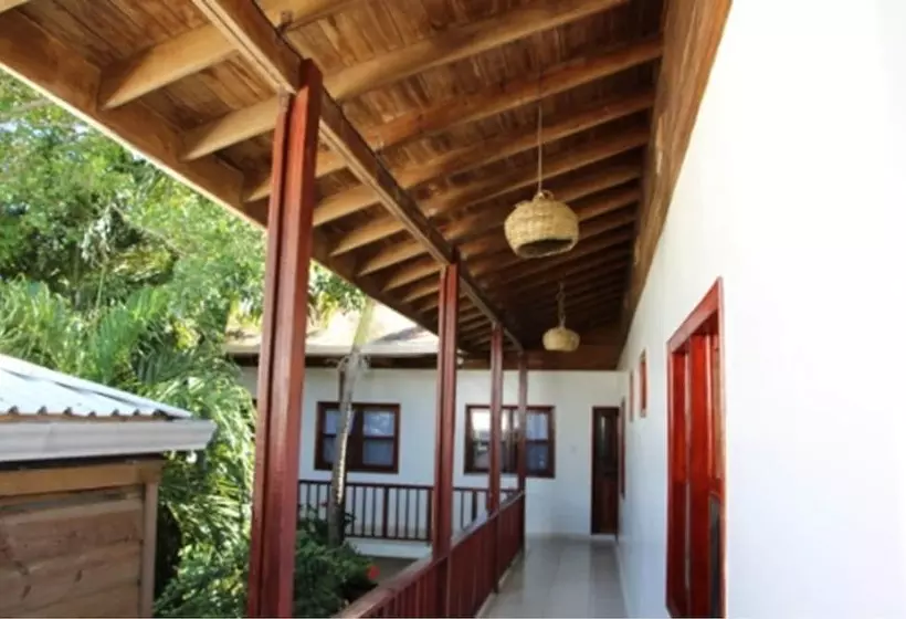 هتل Splash Inn Dive Resort & Villas