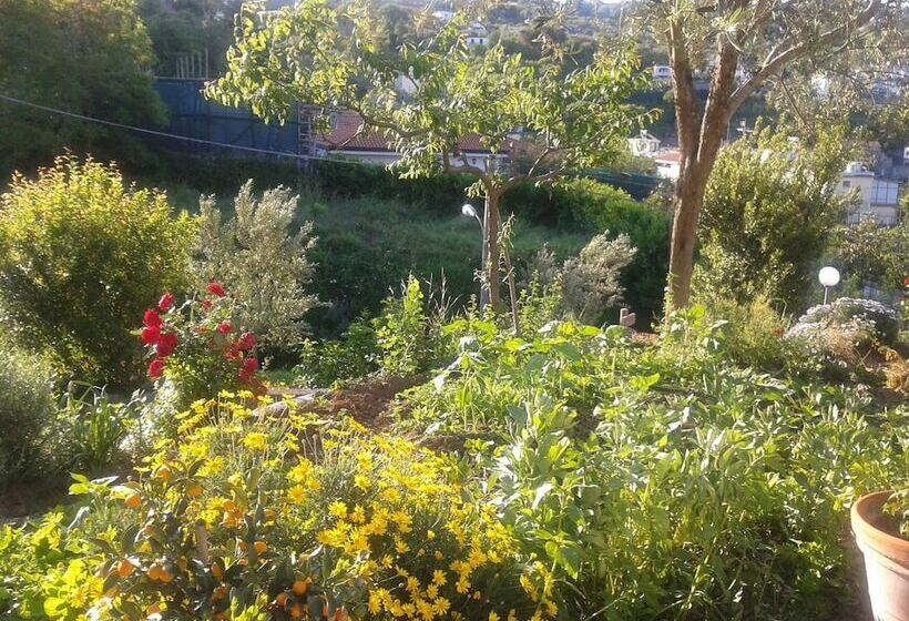 Il Cottage Bed & Breakfast