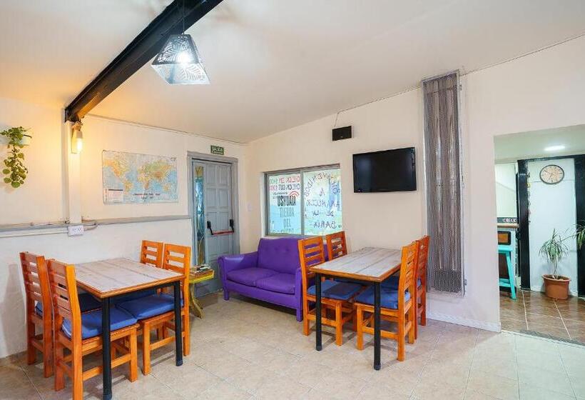 هاستل Amanecer De La Bahía