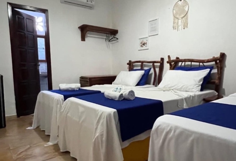 ユースホステル Pousada Califórnia Tia Lia