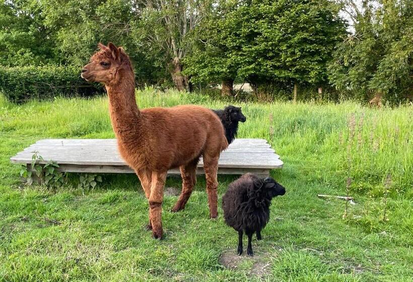 Aux Murmures De La Nature B&b