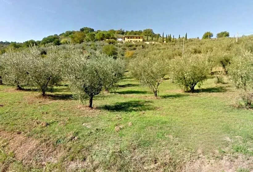 Country House With Swimming Pool And Garden With Mediterranean Plants