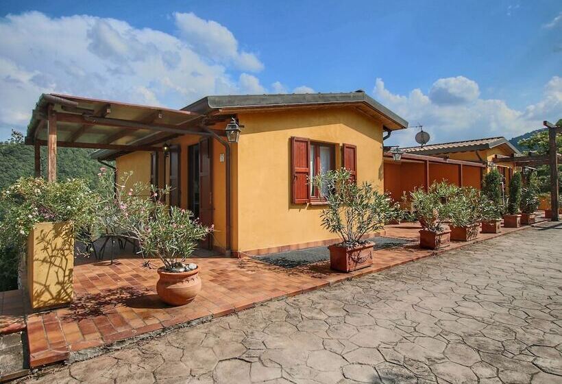 Country House With Swimming Pool And Garden With Mediterranean Plants