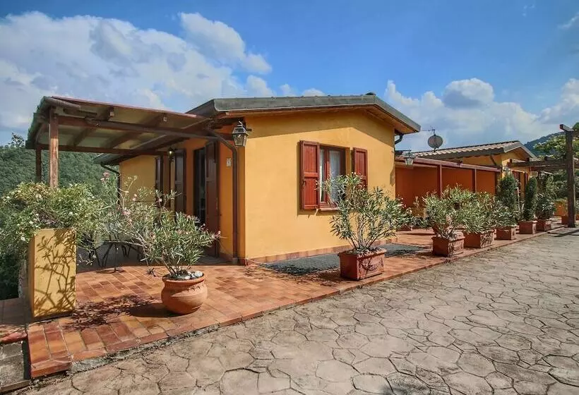 Country House With Swimming Pool And Garden With Mediterranean Plants