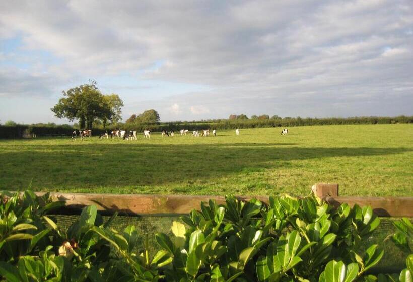 Drumspittal House B&b