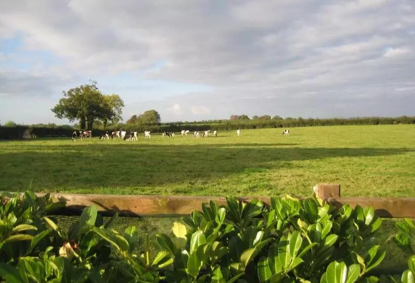 Drumspittal House B&b