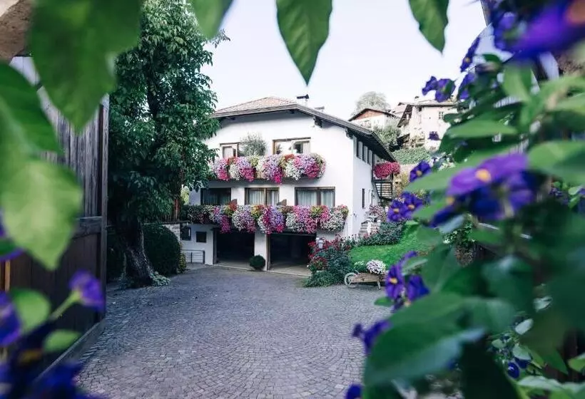 ホテル Amplatz 1523   B&b And Suites