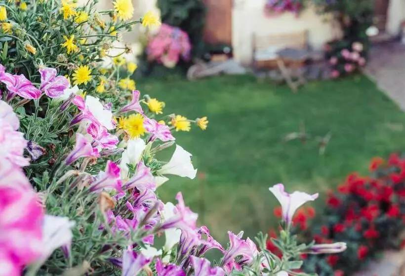 ホテル Amplatz 1523   B&b And Suites