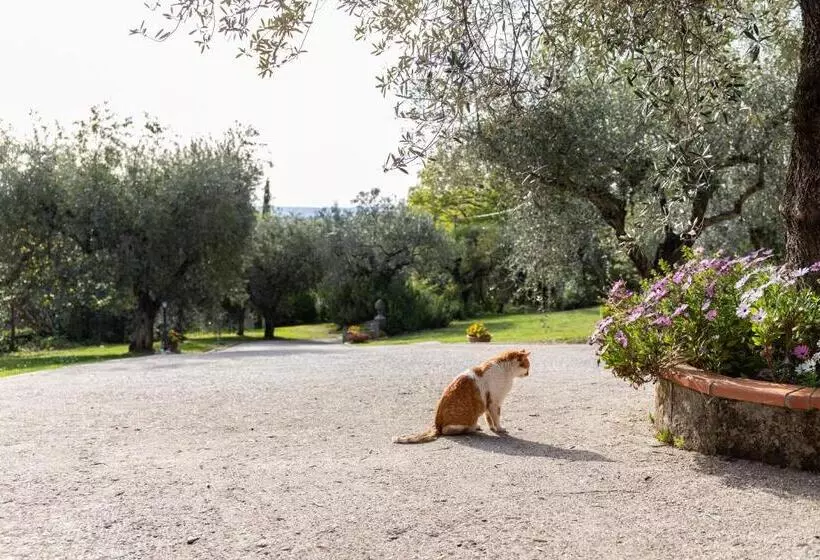 La Tana Delle Stelle B&b Di Charme E Relax