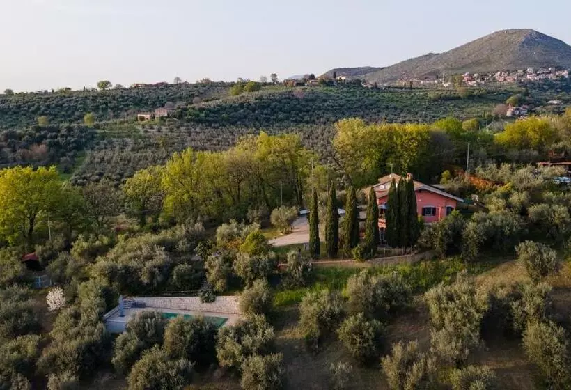 La Tana Delle Stelle B&b Di Charme E Relax