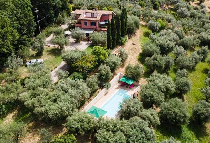 La Tana Delle Stelle B&b Di Charme E Relax