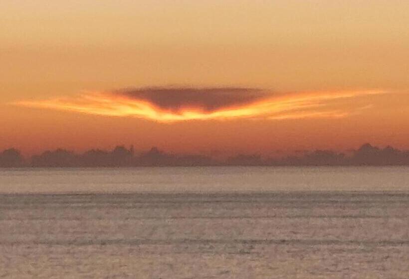 Пансион Herdade Amália Rodrigues