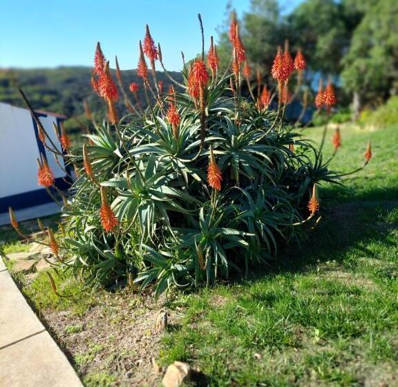 Пансион Herdade Amália Rodrigues