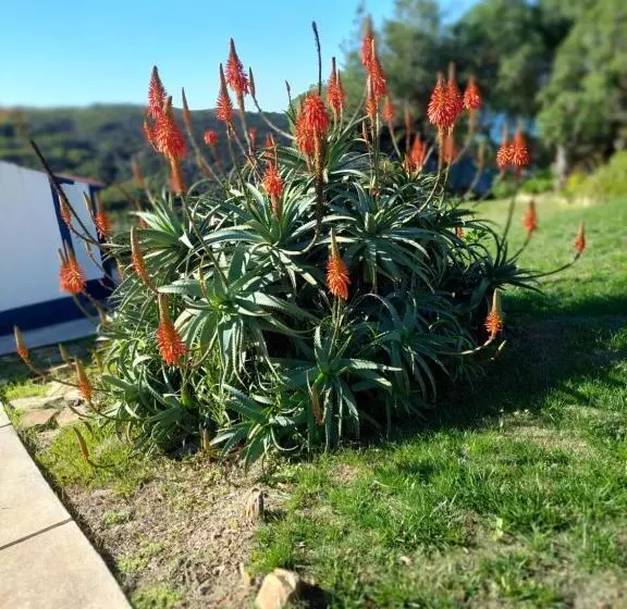 پانسیون Herdade Amália Rodrigues