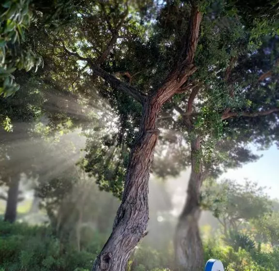 پانسیون Herdade Amália Rodrigues