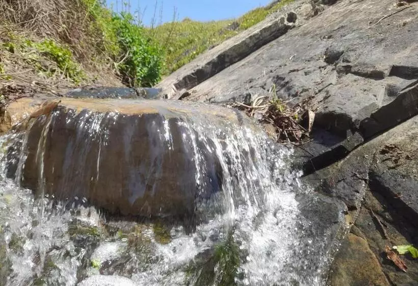 پانسیون Herdade Amália Rodrigues