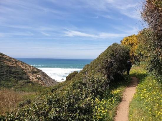 Пансион Herdade Amália Rodrigues