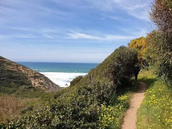 پانسیون Herdade Amália Rodrigues