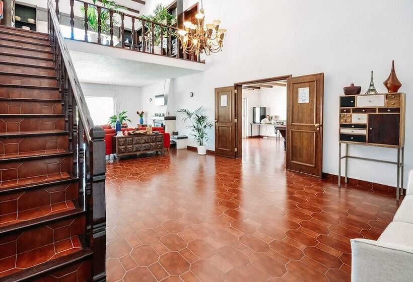 پانسیون Limmo Garden Guest House