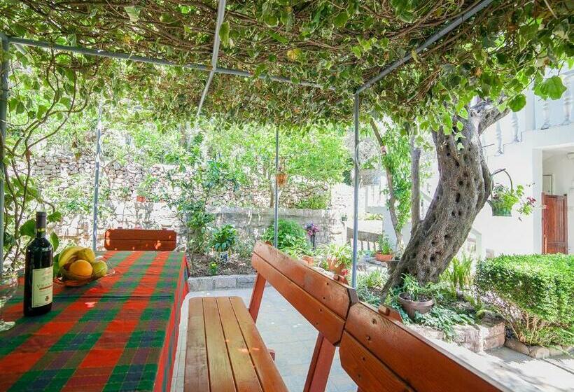 پانسیون Rooms Garden