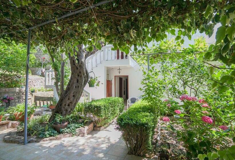 پانسیون Rooms Garden