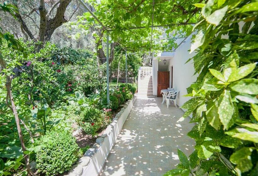 پانسیون Rooms Garden