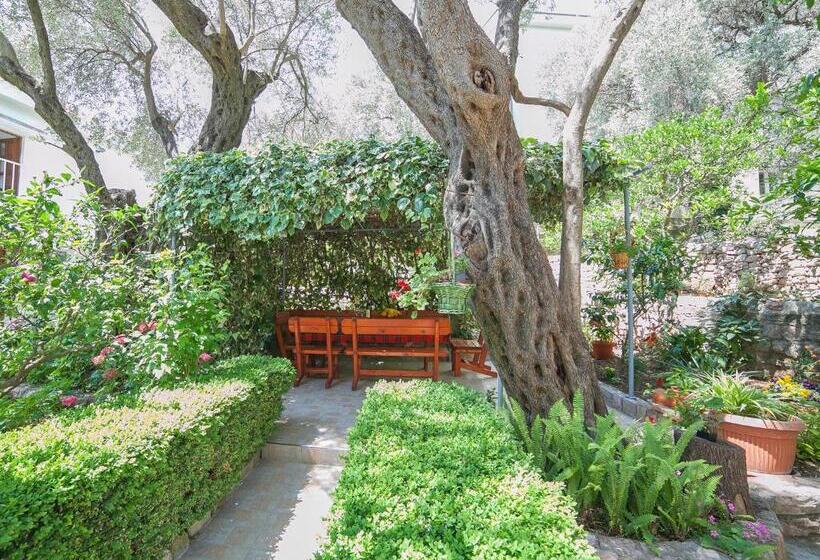 پانسیون Rooms Garden