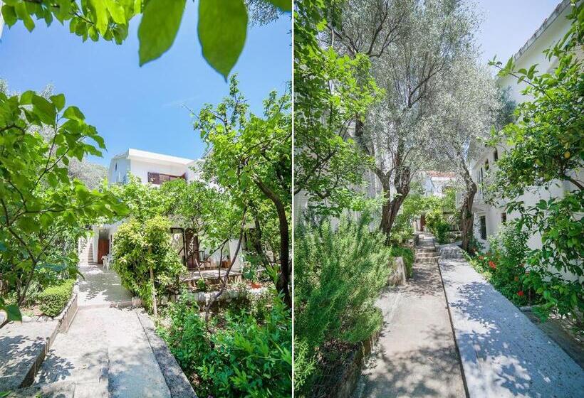 پانسیون Rooms Garden